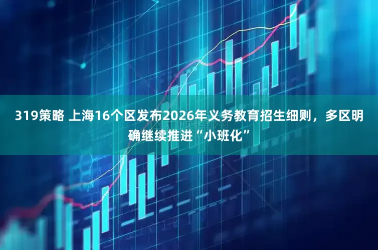 319策略 上海16个区发布2026年义务教育招生细则，多区明确继续推进“小班化”